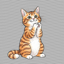 Animal Text Series-AT 3503